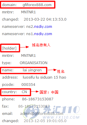 域名调查结果