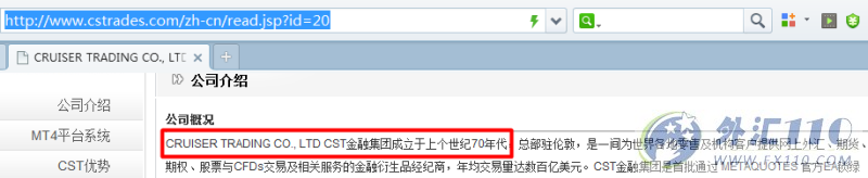 域名调查结果